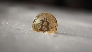 Is Crypto Frigid weather Over? Relies Who You Question