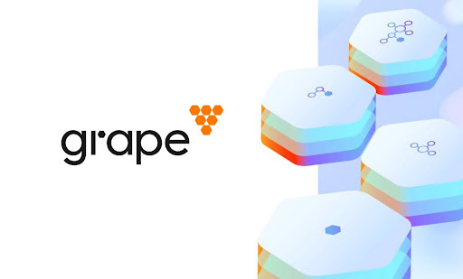 Grape Secures $35 Million Funding from LDA Capital, Propelling Its Ascent because the Premier Layer One Blockchain Chain in the Commerce
